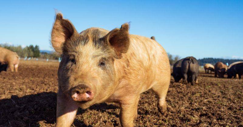 Unsplash/Steven Weeks